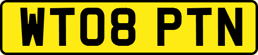 WT08PTN
