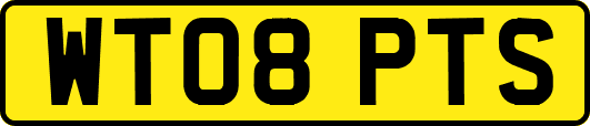 WT08PTS
