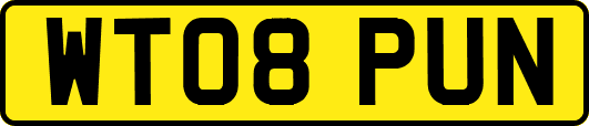WT08PUN