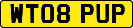 WT08PUP