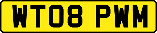 WT08PWM