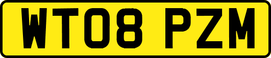 WT08PZM