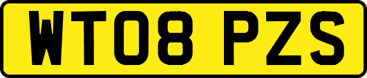 WT08PZS