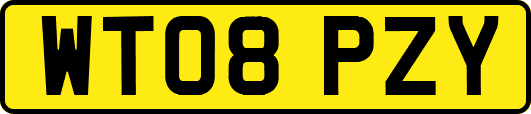 WT08PZY