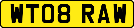 WT08RAW