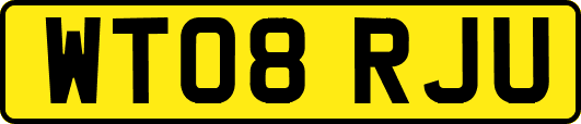 WT08RJU