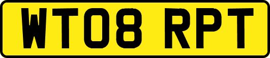 WT08RPT