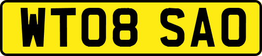 WT08SAO