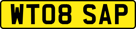 WT08SAP