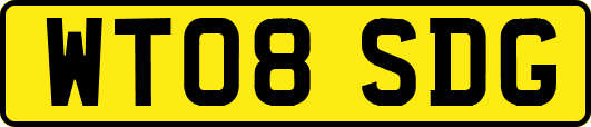 WT08SDG