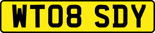 WT08SDY