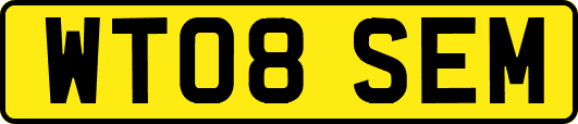 WT08SEM
