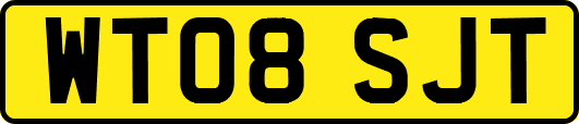 WT08SJT