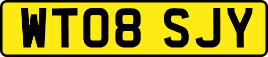 WT08SJY