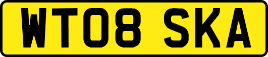 WT08SKA