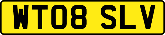 WT08SLV