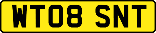 WT08SNT
