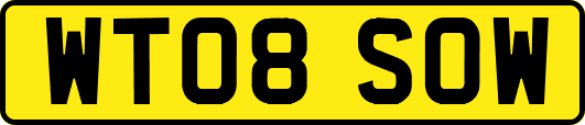 WT08SOW