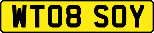WT08SOY