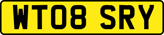 WT08SRY