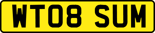 WT08SUM