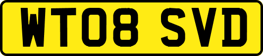 WT08SVD