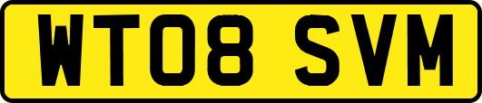 WT08SVM