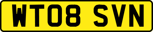 WT08SVN