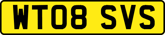 WT08SVS