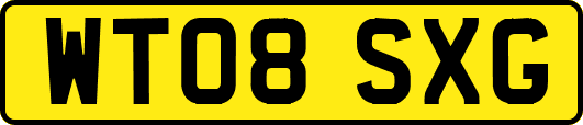 WT08SXG
