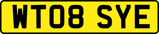 WT08SYE