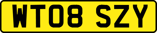 WT08SZY