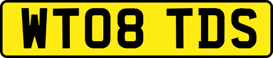 WT08TDS