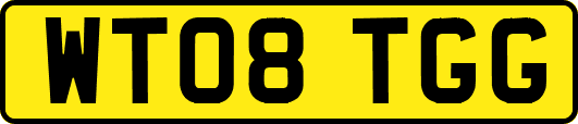 WT08TGG