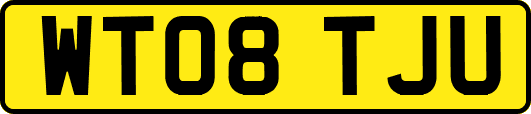 WT08TJU