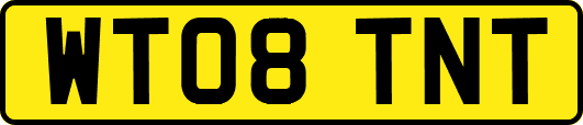 WT08TNT