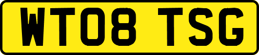 WT08TSG