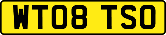 WT08TSO