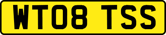 WT08TSS