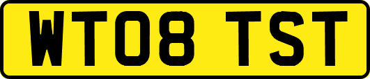 WT08TST