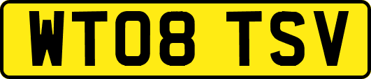 WT08TSV