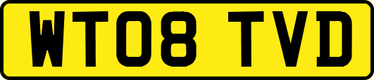 WT08TVD