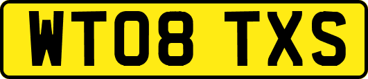 WT08TXS