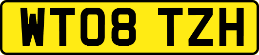 WT08TZH