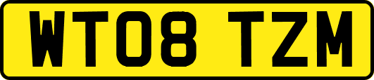 WT08TZM