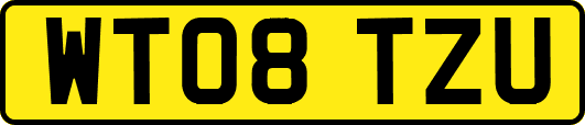 WT08TZU