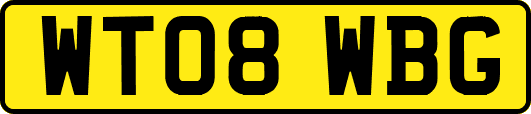 WT08WBG