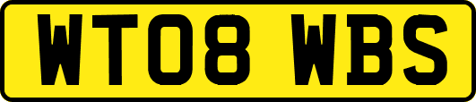 WT08WBS