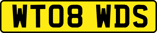 WT08WDS