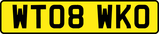 WT08WKO